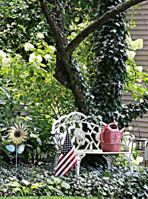 Garden Bench Flag Tree Ivy Snowball Bush Outside