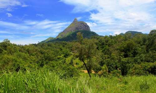 Hill Serelo Lahat Indonesian Nature