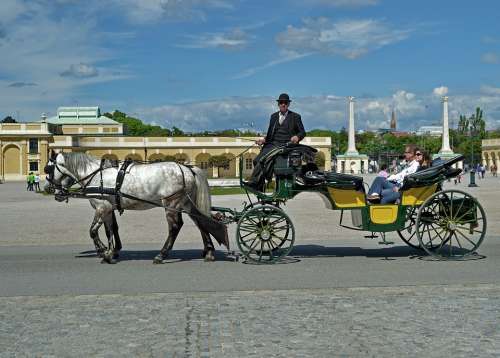 Horse Carriage Schönbrunn Vienna Austria