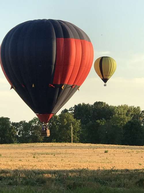 Hot Air Balloon Wheat Field Flying Summer Golden