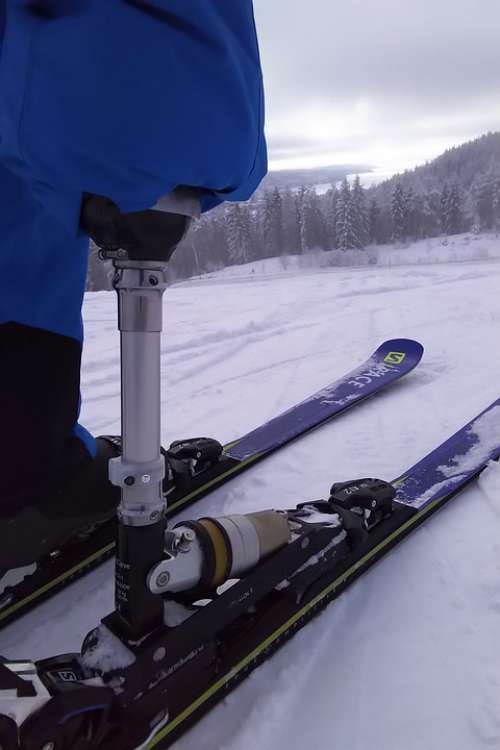Implants Ski Alpine Snow Mountain Winter Skiers