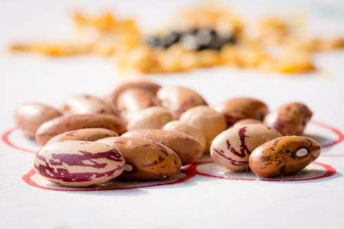 Kidney Beans Bean Pulses Tokina Micro Macro Nikon