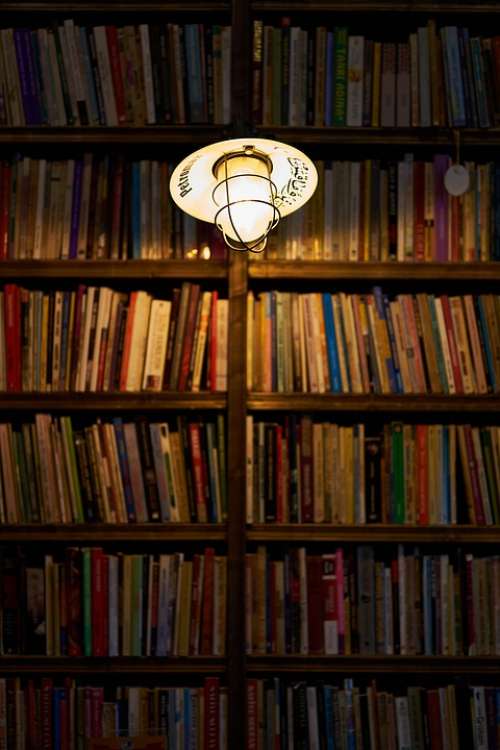 Light Books Library Cafe Decor Read Book