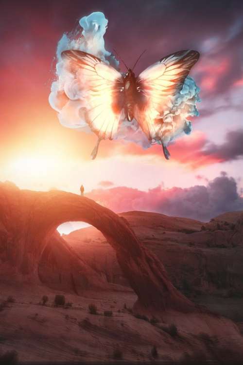 Man Butterfly Surreal Fantasy Photoshop Clouds