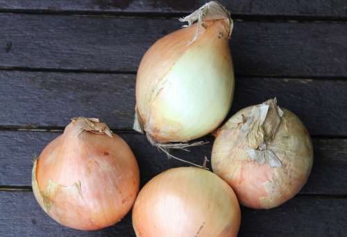 Onions Vegetable Healthy Bulb Fresh Food Group