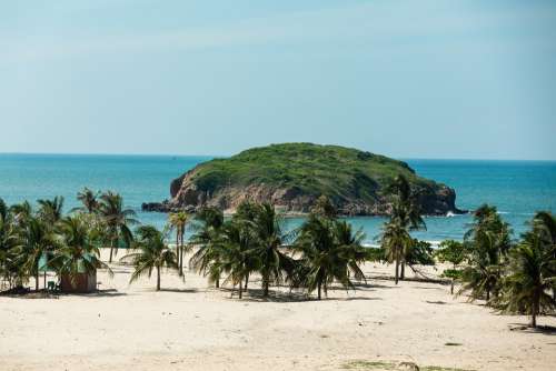 Phan Thiet Beach Sea Island Beautiful Coconut