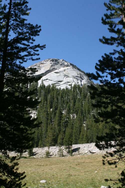 Pine Trees Nature Mountain Landscape Yosemite