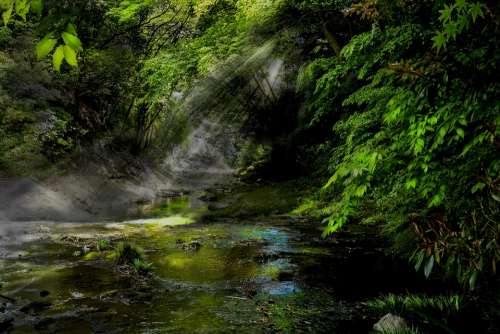 River Ray Reflection Natural Landscape Green