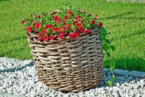 Shopping Cart Flowers Garden Decoration Summer