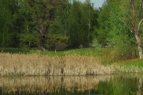 Spring Landscape Nature Lake Reflection Water