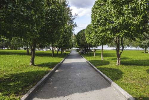 Summer Trees Nature Landscape Road Grass