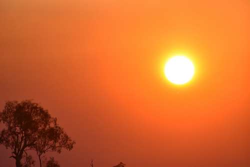 Sunset Bush Australia