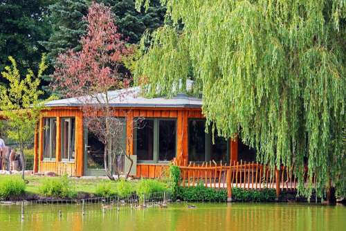 Woodhouse Weeping Willow Zoo Greifswald Nature Lake