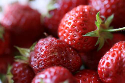 strawberries close up macro fresh fruit
