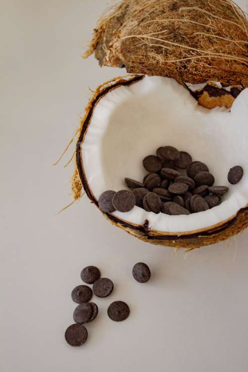 A Coconut Splits Open And Spills It's Chocolate Chip Guts Photo