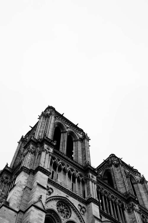 A Gothic Cathedral In Black And White Photo