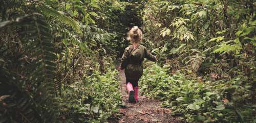 A Small Childs Walks Through The Wilderness Photo