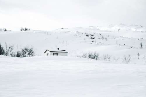 A White Wood Hut Camouflaged In Snow Photo
