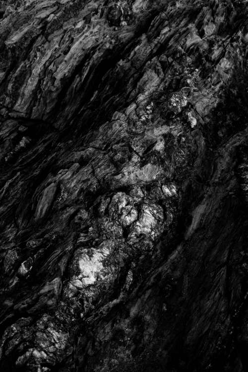 Black And White Knotted Wood Photo