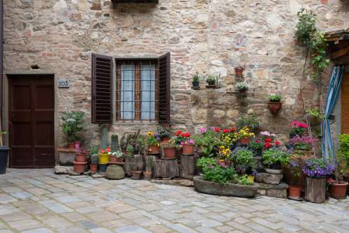 Colourful Plants And Cacti Line The Front Of A House Photo