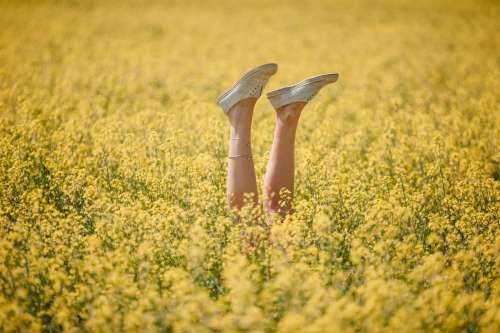 Legs And Yellow Flowers Photo