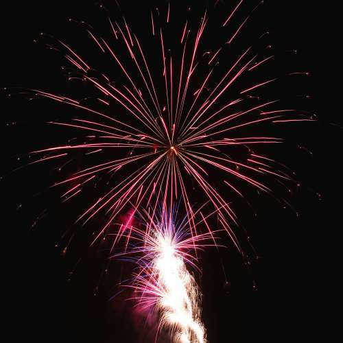 Pink And Purple Fireworks Photo