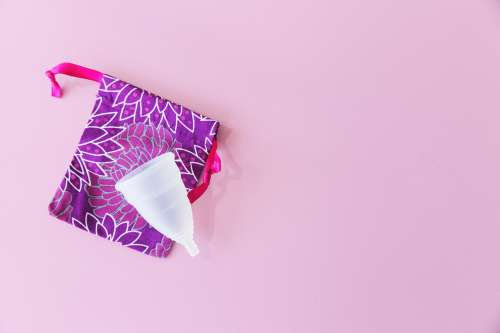 Reusable Menstrual Cup And Pouch Photo