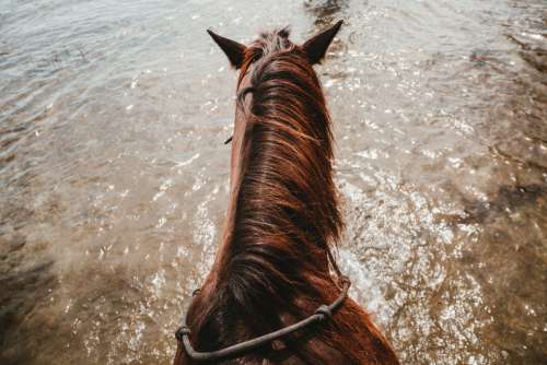 Riding Horseback Photo