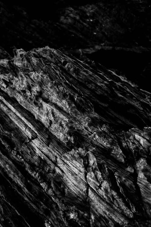 Striations In Wood Photo