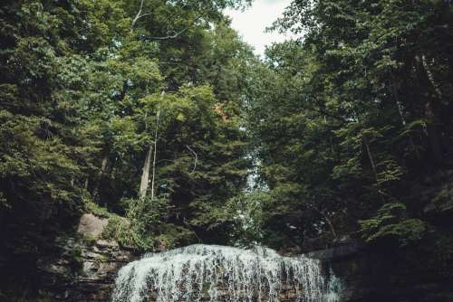 Waterfall In Dense Forest Photo