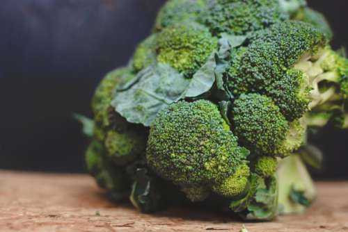 Close up on healthy green broccoli
