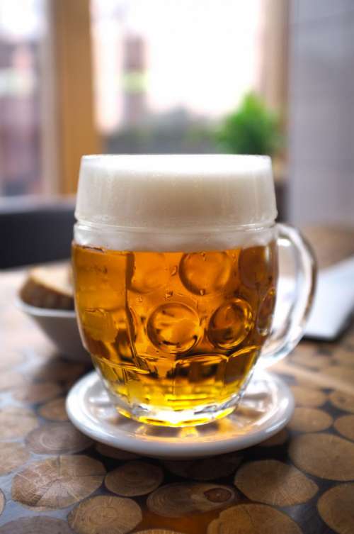 Perfectly tapped Czech pilsner beer