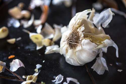 Clove of garlic on kitchen counter