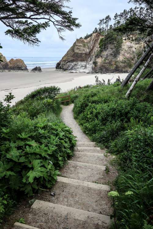 A path to the beach