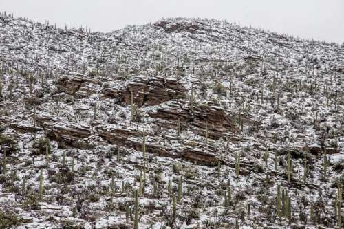 Hillside of Layered Rocks and Cactus After Snow