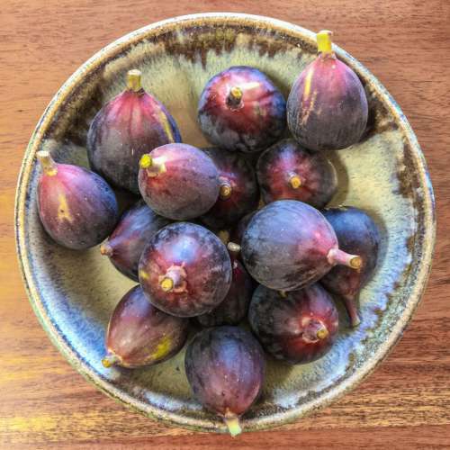 Bowl of Figs