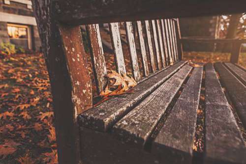 Wooden Park Bench Free Photo 