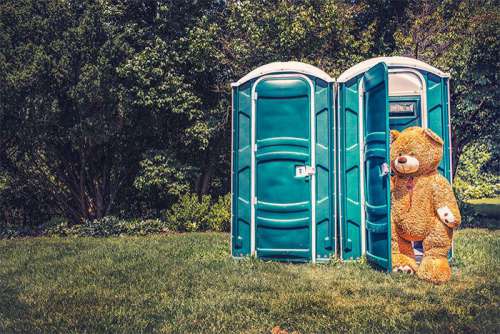 Teddy Bear Toilet Free Photo 