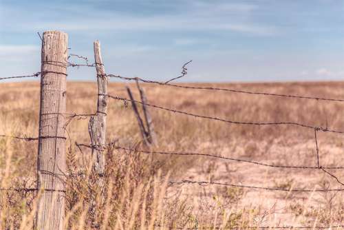Barbed Wire Fence Free Photo 