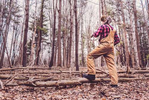 Lumberjack in Woods Free Photo 