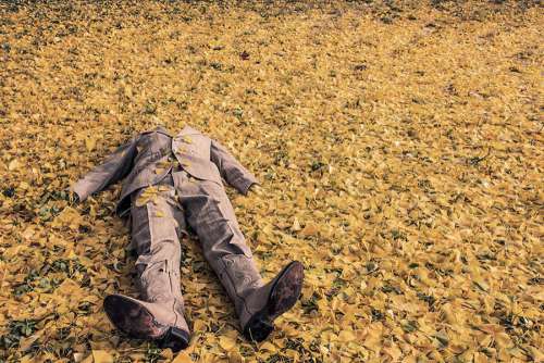 Man Falling on Leaves Free Photo 