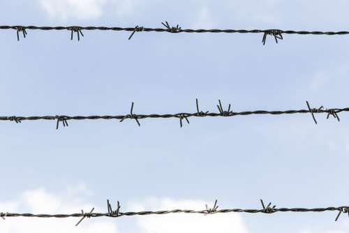 Barbed Wire Blue Sky Free Photo 