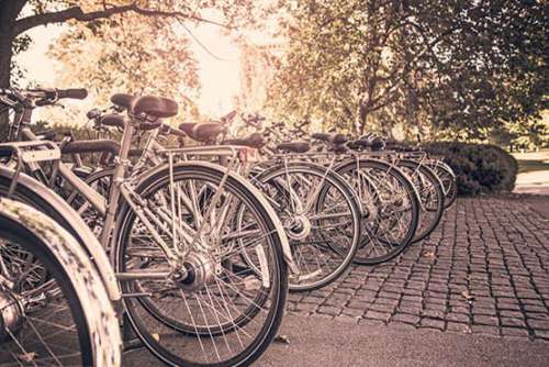 Row of Parked Bikes Free Photo 