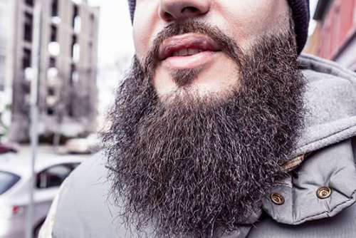 Man With Beard Free Photo 