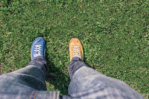 Yellow & Blue Sneakers Free Photo 