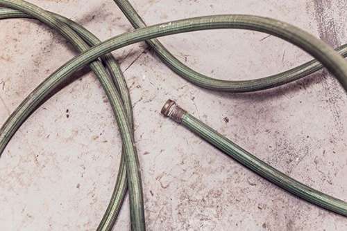 Garden Hose Free Photo 