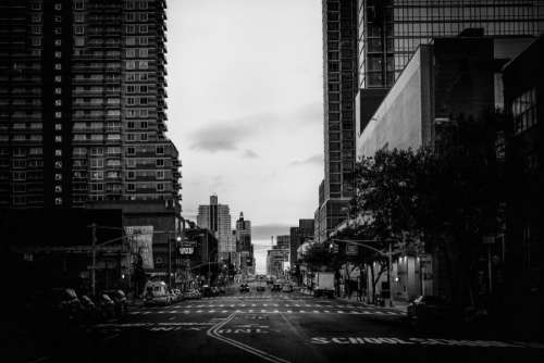 Black & White City Street Free Photo 