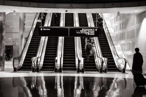 Black & White Escalators Free Photo 
