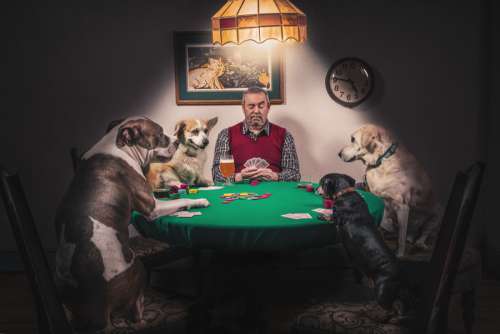 Man & Dogs Playing Cards Free Photo 