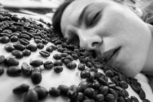 Sleeping Coffee Free Photo 